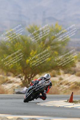 media/Apr-10-2022-SoCal Trackdays (Sun) [[f104b12566]]/Turn 5 Tree of Life (1040am)/